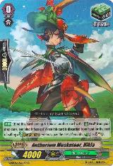 Anthurium Musketeer, Nikla (G-EB02/022EN) — card price