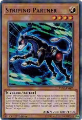 Striping Partner (EXFO-EN003) — card price