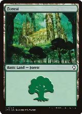 Forest (312) (312) — card price