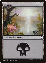 Swamp (293) (293) — card price