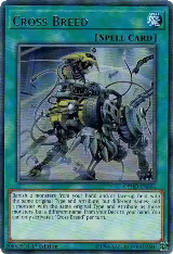 Cross Breed (CYHO-EN066) — card price