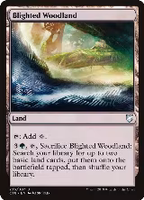 Blighted Woodland (236) — card price