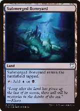 Submerged Boneyard (283) — card price