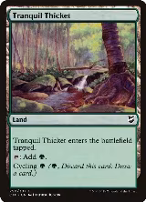 Tranquil Thicket (290) — card price
