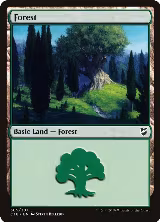Forest (305) (305) — card price
