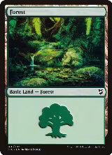 Forest (306) (306) — card price
