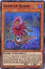 Glow-Up Bloom (SR07-EN003) — card price