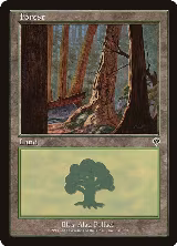Forest (348) (348) — card price