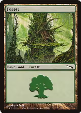 Forest (303) (303) — card price