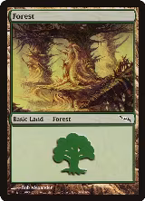 Forest (304) (304) — card price