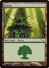 Forest (305) (305) — card price