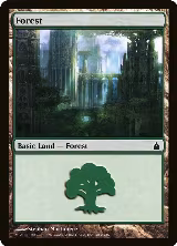 Forest (303) (303) — card price