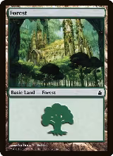 Forest (305) (305) — card price