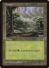 Forest (Cloudy) (349) — card price