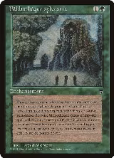 Sylvan Library (French) - "Bibliotheque sylvestre" — card price