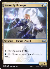 Senate Guildmage (204) — card price