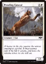 Prowling Caracal (17) — card price