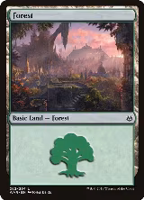 Forest (262) (262) — card price