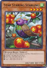 Star Staring Starling (DANE-EN024) — card price