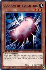 Cocoon of Evolution (SS03-ENB09) — card price
