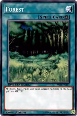 Forest (SS03-ENB17) — card price