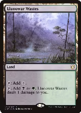 Llanowar Wastes (258) — card price
