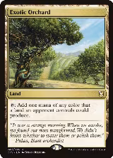 Exotic Orchard (242) — card price