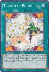 Trickstar Bouquet (MP19-EN035) — card price