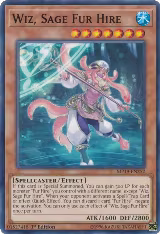 Wiz, Sage Fur Hire (MP19-EN252), 2019 Gold Sarcophagus Tin Mega Pack — Yu-Gi-Oh! card price