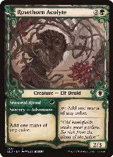 Rosethorn Acolyte (Showcase) (300) — card price