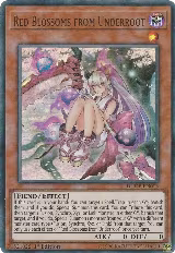 Red Blossoms from Underroot (DUDE-EN006) — card price