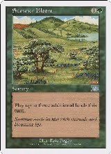 Summer Bloom (255) — card price