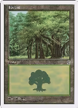 Forest (180) (180) — card price