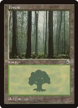 Forest (Ferns on Ground) — card price