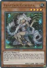 Traptrix Genlisea (DUOV-EN054) — card price