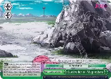 Controller of Magnetism (JJ/S66-E045 CR) — card price