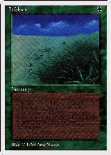 Lifelace (208) — card price