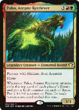 Pako, Arcane Retriever (13) — card price