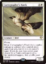 Cartographer's Hawk (24) — card price