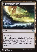 Blighted Woodland (258) — card price