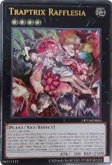 Traptrix Rafflesia (UTR) (OP13-EN003) — card price