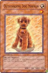 Outstanding Dog Marron (DCR-062) — card price