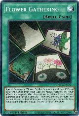 Flower Gathering (DLCS-EN136), Dragons of Legend: The Complete Series — Yu-Gi-Oh! card price