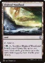 Blighted Woodland (121), Commander: Zendikar Rising — Magic card price