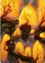 Grove of the Burnwillows Art Card (34) — card price