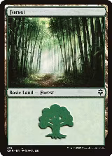 Forest (510) (510) — card price
