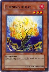 Burning Algae (DR2-EN063) — card price