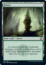 Forest (280) (280) — card price