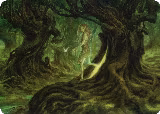 Neverwinter Dryad Art Card (69), Art Series: Adventures in the Forgotten Realms — Magic card price
