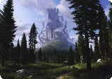 Forest (61/81) Art Card (61), Art Series: Adventures in the Forgotten Realms — Magic card price